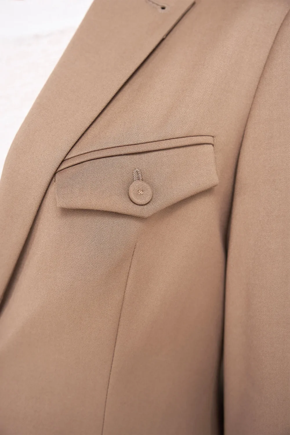 Blazer Dames Getailleerd Bruin Jeremy