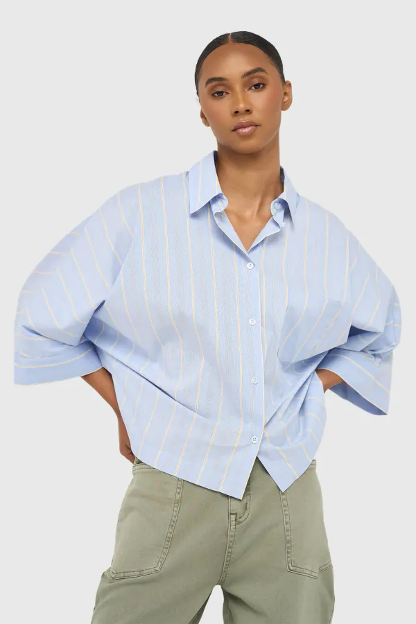 Dames Blouse Gestreept Blauw Carl