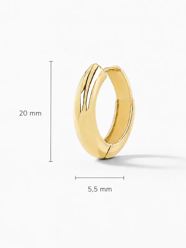 Gouden Oorbellen Hoops Creolen Aspen Medium