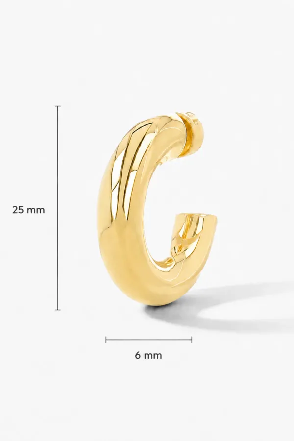 Gouden Oorbellen Creolen Creolen Hoops Chandler Medium