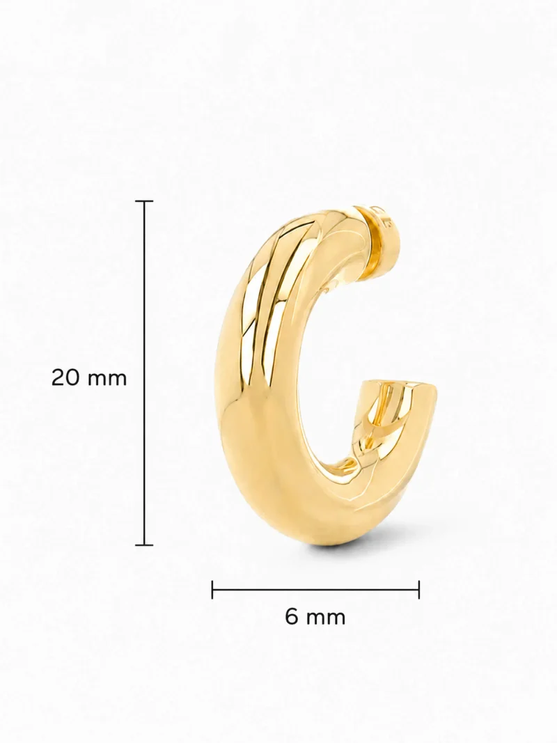 Gouden Oorbellen Creolen Creolen Hoops Chandler Small