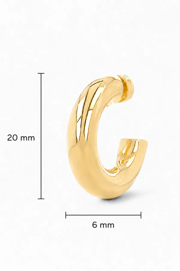 Gouden Oorbellen Creolen Creolen Hoops Chandler Small