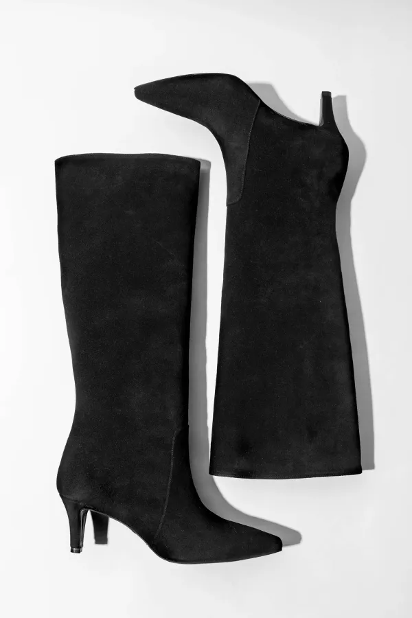 Hoge Leren Laars Punt Neus Queen Hak Darwin Zwart Suede