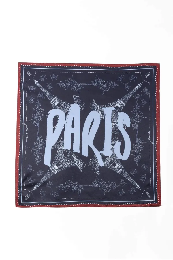 Zijden Sjaal Dames Effron Paris Blauw