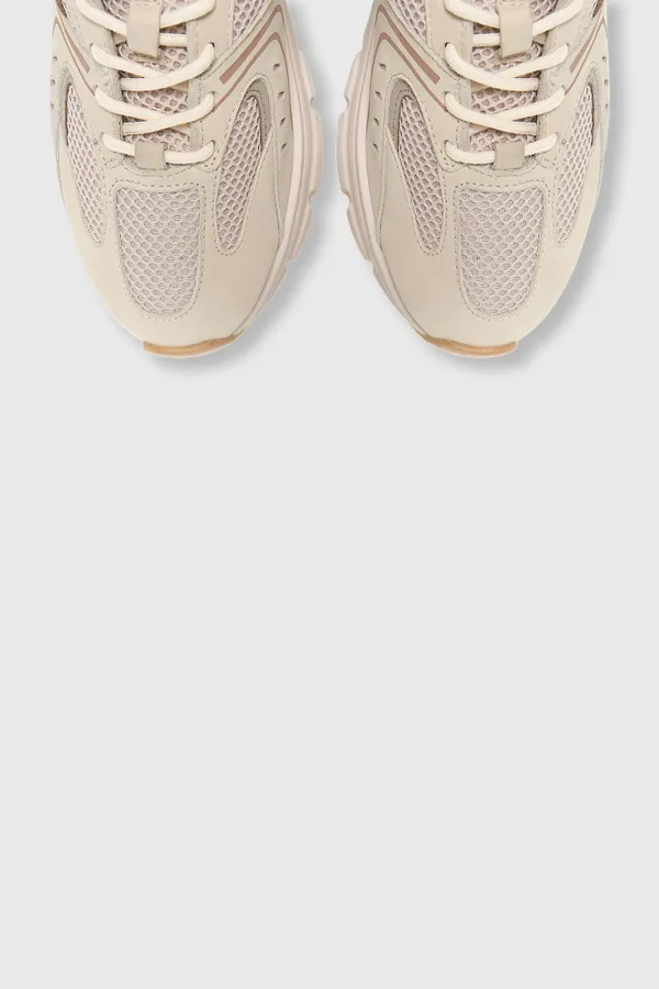 Bolt Camel 553 Suede