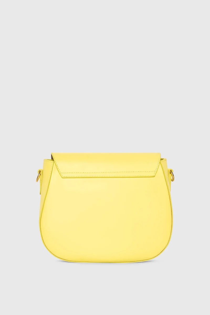 Nixon Tas Geel